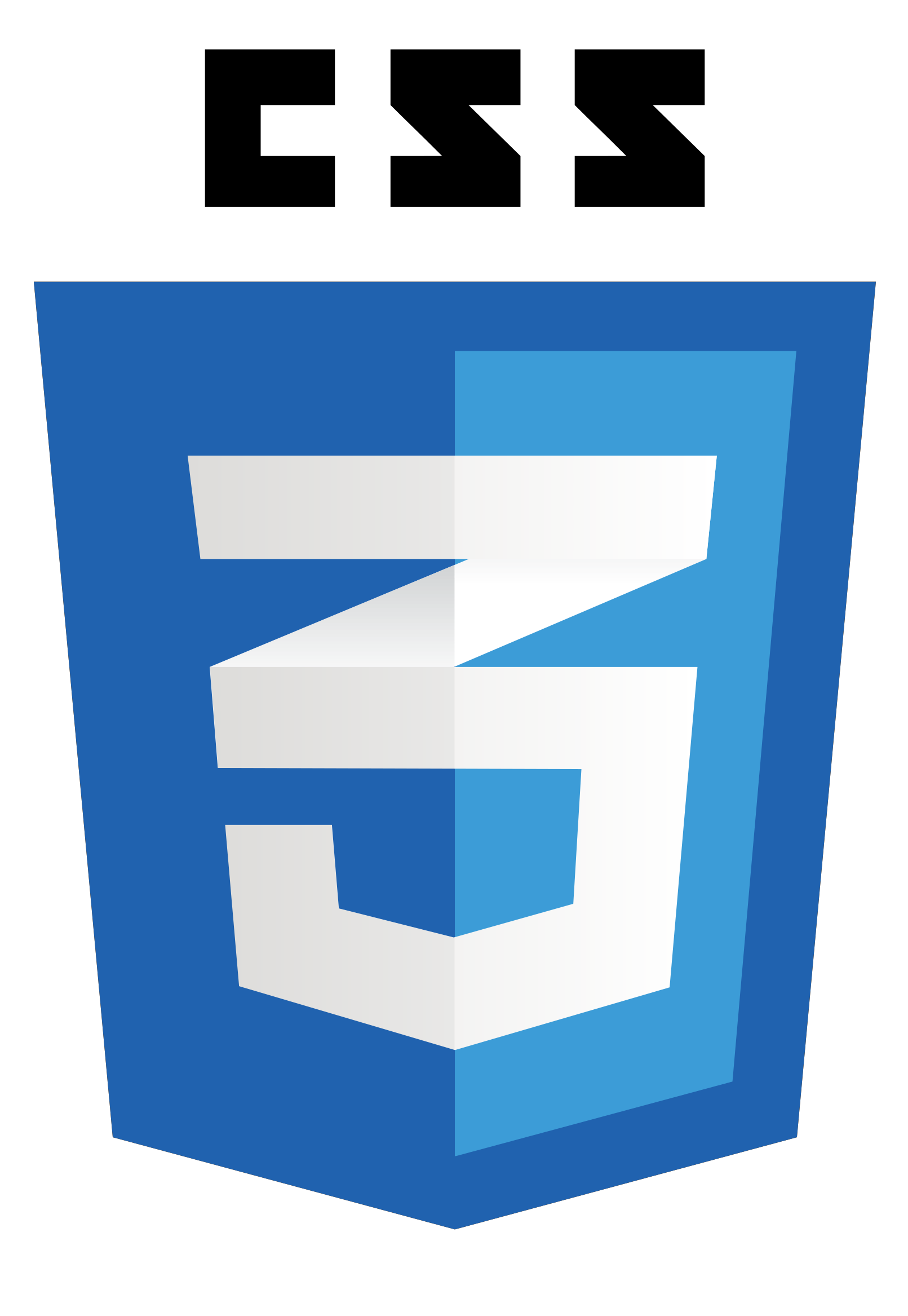 CSS logo